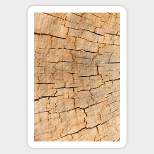 Naturally cracked wood Sticker